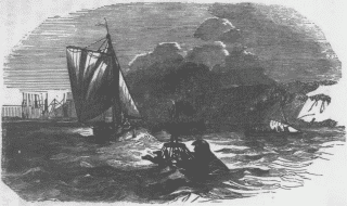 The Poultry Basket&mdash;A Life-Preserver.