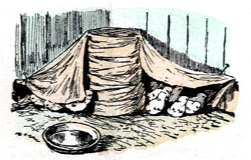 They cuddled up against the flannel cover. They cuddled up against the flannel cover.