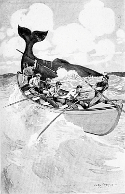 "SUDDENLY THE MATE GAVE A HOWL—'STARN ALL!" "SUDDENLY THE MATE GAVE A HOWL—'STARN ALL!"