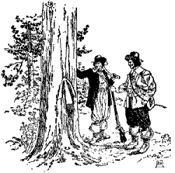 "THE BROAD ARROW WAS PUT ON ALL WHITE PINES 24 INCHES IN DIAMETER" "THE BROAD ARROW WAS PUT ON ALL WHITE PINES 24 INCHES IN DIAMETER"