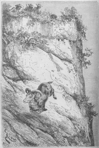 Eläin hypähti ilmaan ja katosi metsästäjien hämmästyneitten
katseitten edestä.