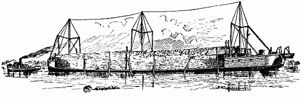 THE BARGE WAHNAPITÆ, LOADED WITH 2,181,000 FEET OF