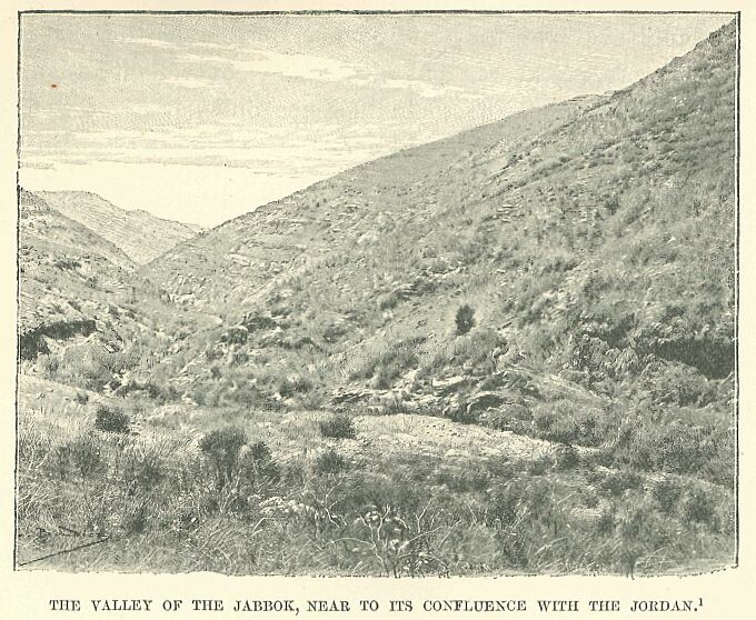 261.jpg the Valley of The Jabbok, Near to Its Confluence With the Jordan