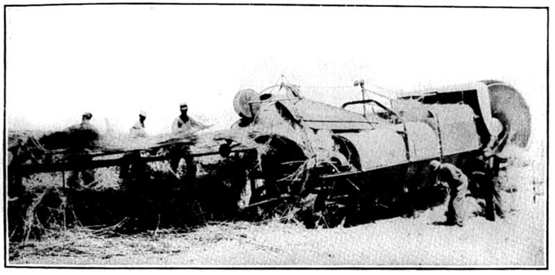 The stalks are fed sidewise in a continuous
layer 2 to 3 inches thick,
turning out about 4,000 pounds of clean fiber per day and five times
as much hurds. The stalks are fed sidewise in a
continuous layer 2 to 3 inches thick,
turning out about 4,000 pounds of clean fiber per day and five times
as much hurds.