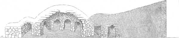 PLATE XII. PLATE XII.