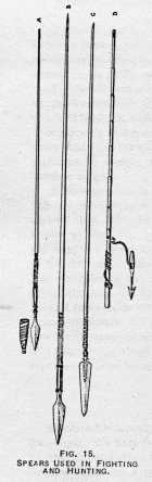 FIG. 15. SPEARS USED IN FIGHTING AND
HUNTING.