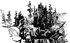 "And in Each Ca&ntilde;on was a Waterfall."