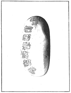 PL. LXIX SHELL BEARING MAYA GLYPHS
This shell, on which are engraved seven Maya hieroglyphs, was found in
Belize and courteously sent to the Bureau of American Ethnology by Sir
Alfred Moloney, Governor of British Honduras. The shell is here figured
for the purpose of placing it before students of Central American
paleography.