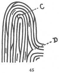 Fig. 45 Fig. 45