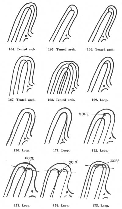 Figs. 164-175 Figs. 164-175