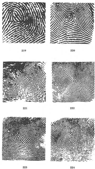 Figs. 219-224 Figs. 219-224
