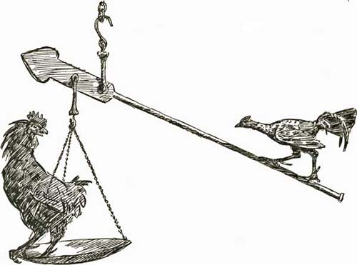 THE GAME-COCK THE GAME-COCK