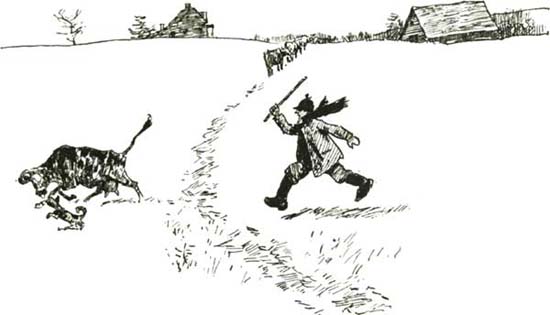 THE AMBITIOUS COW THE AMBITIOUS COW