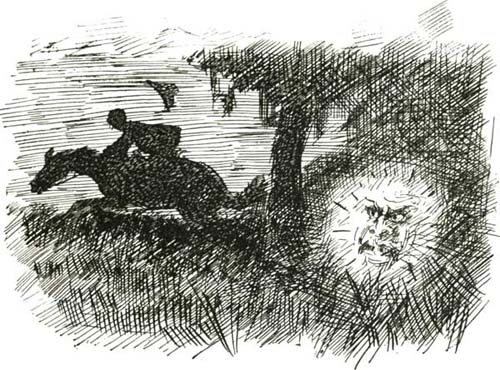 WILL O' THE WISP WILL O' THE WISP