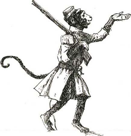 THE MONKEY THE MONKEY