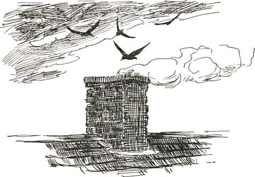 THE CHIMNEY-SWALLOW THE CHIMNEY-SWALLOW