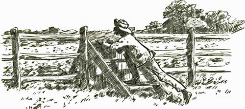 THE WATERMELON THE WATERMELON