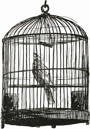 THE CANARY THE CANARY