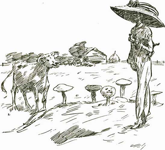 THE NEW RICH THE NEW RICH