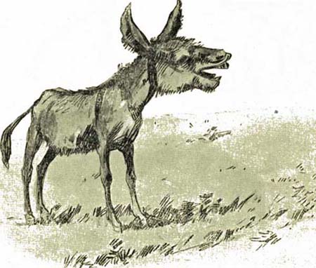 THE WIBBLY WABBLY CALF THE WIBBLY WABBLY CALF