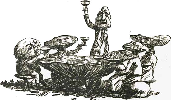 THE MUSHROOM THE MUSHROOM