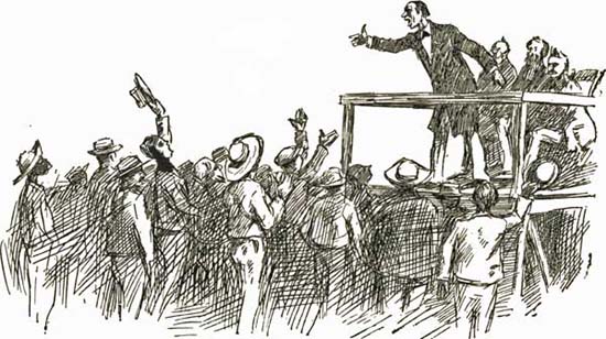 THE CHAMELEON THE CHAMELEON