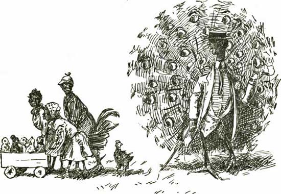 THE PEACOCK THE PEACOCK