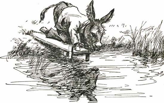 THE MIRROR THE MIRROR