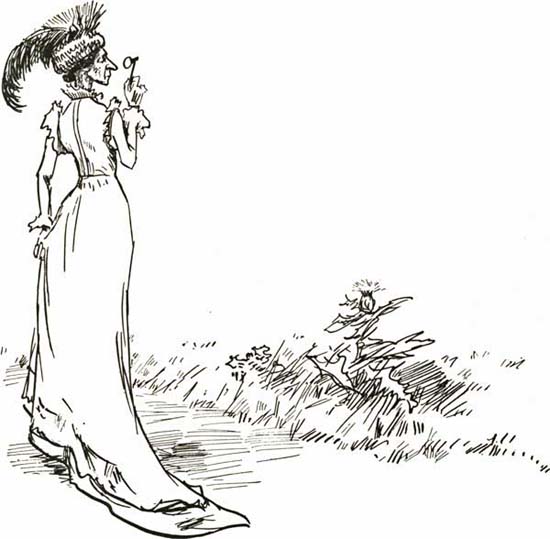 THE THISTLE THE THISTLE