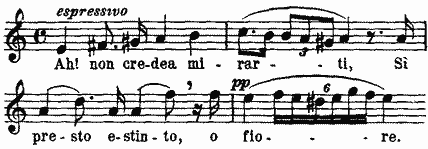 Ah non credea mirarti, Sì presto estinto, o fiore Ah non credea mirarti, Sì presto estinto, o fiore