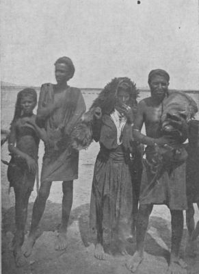 PLAIN OF MIS'HAL AND A&Ograve;DELI TRIBE