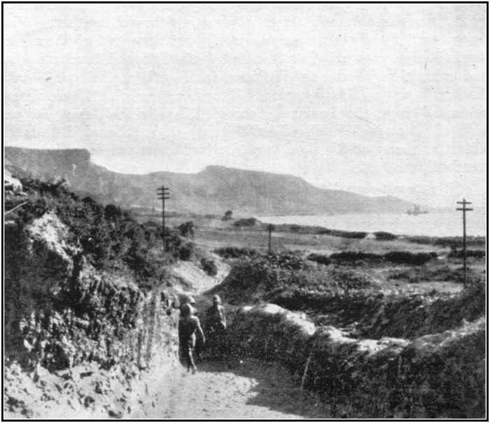 The Great Traffic Trench