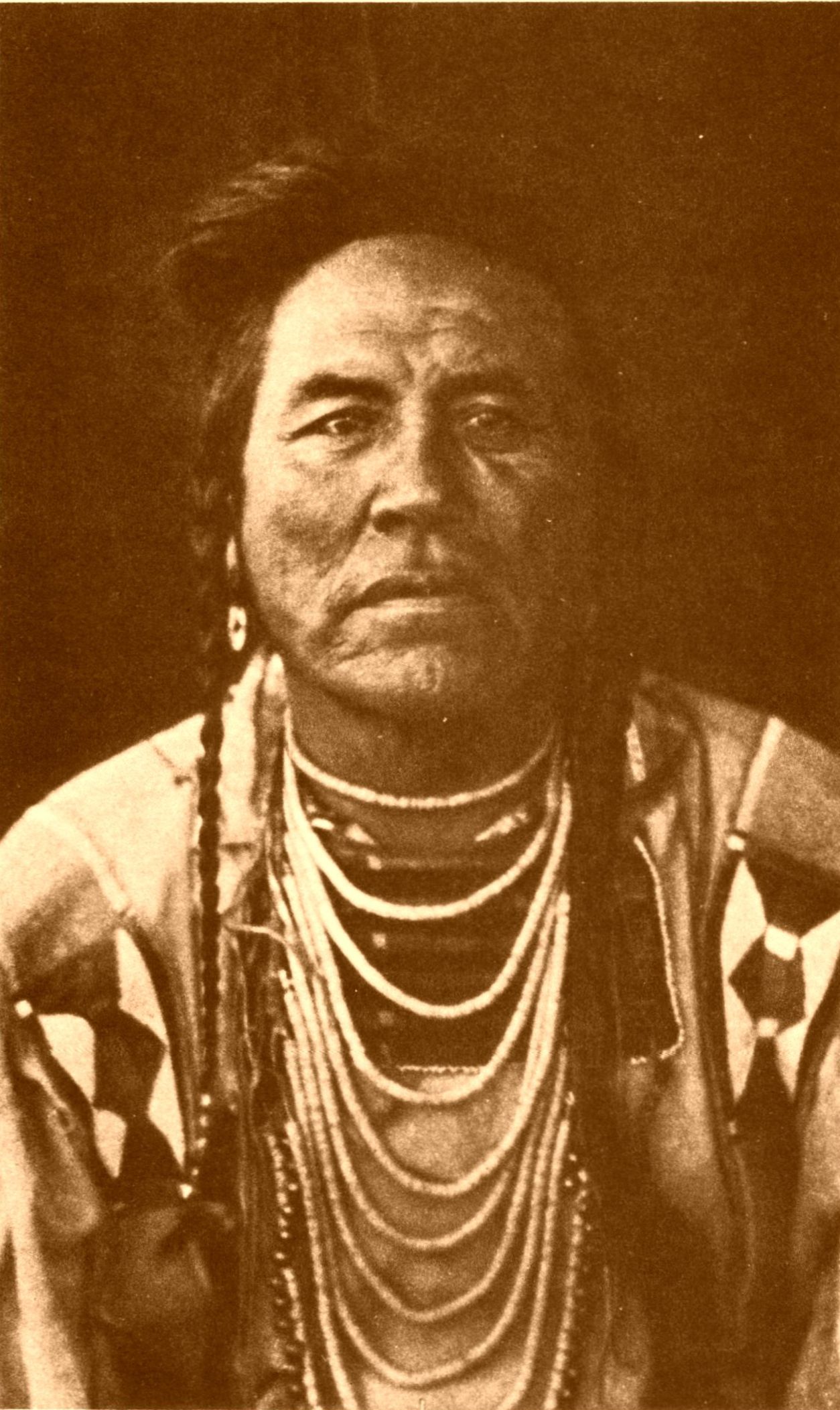 Curly—Custer Scout Curly—Custer Scout