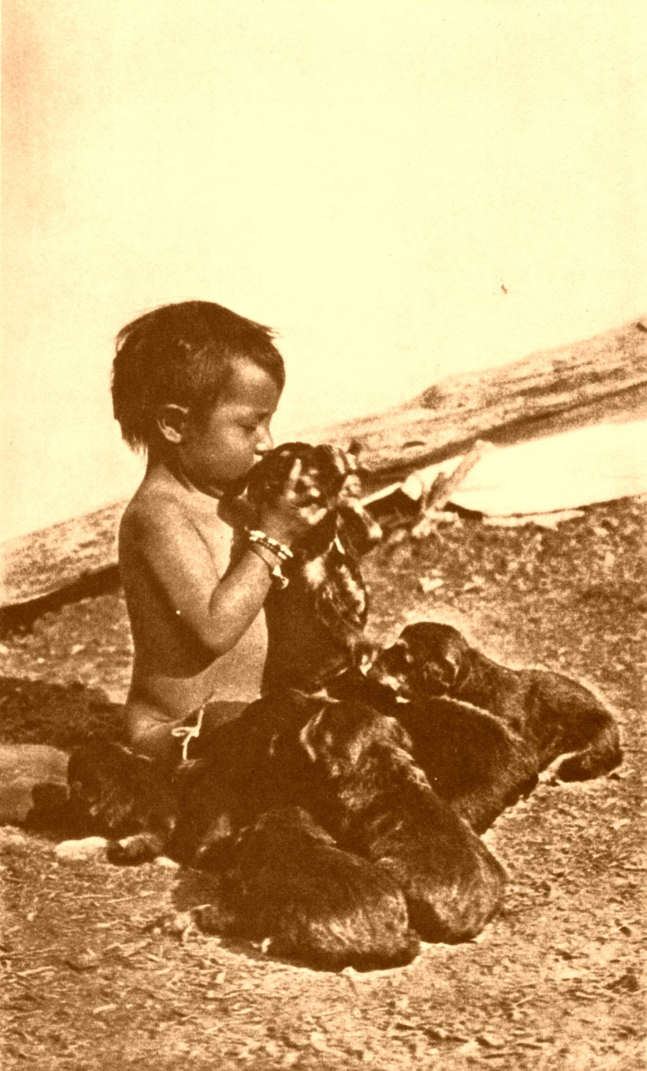 Little Friends Little Friends