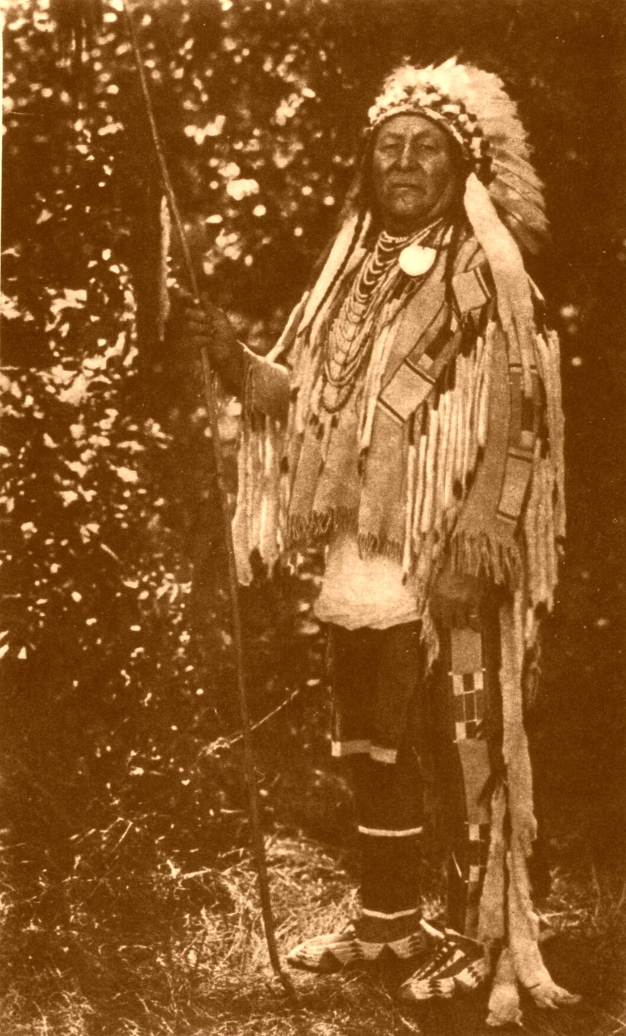 Chief Plenty Coups Chief Plenty Coups