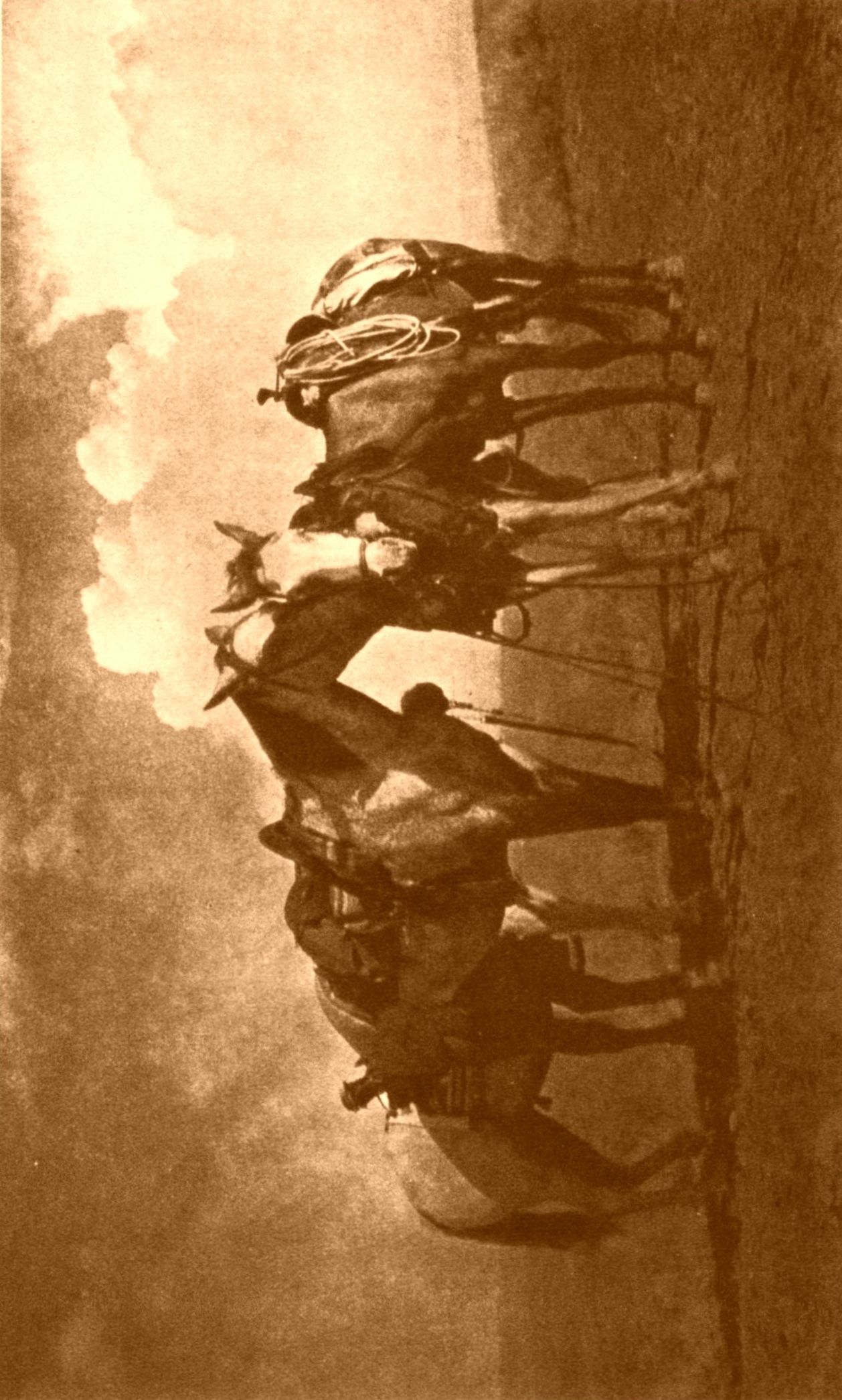 The Empty Saddle The Empty Saddle