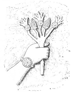 Fig. 133.—Bouquet of flowers and buds; from Layard.