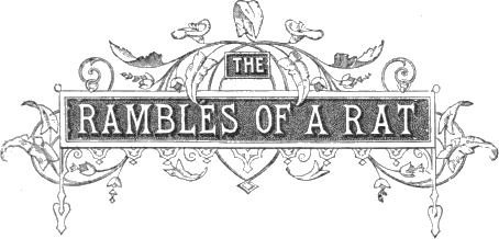 THE RAMBLES OF A RAT THE RAMBLES OF A RAT