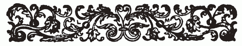 imagen (barra decorativa) no est� disponible