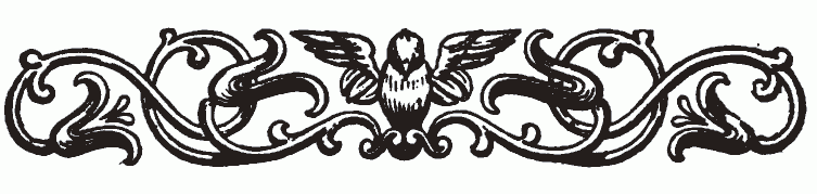 imagen (barra decorativa) no est� disponible