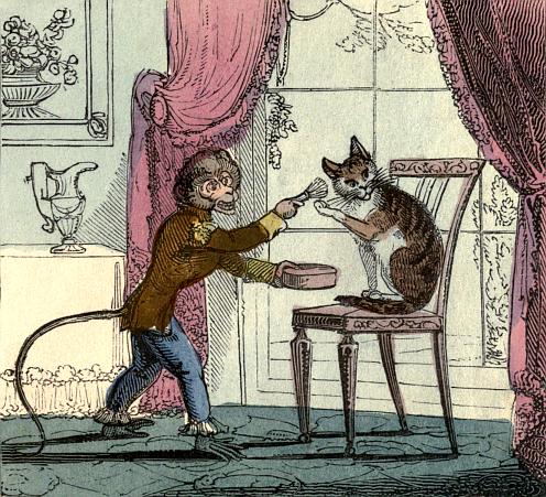 The Monkey lathers the Cat's face