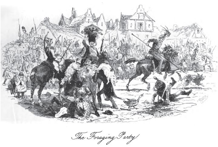 Browneforagingparty221