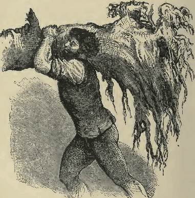 the tall Michel brought
eight more logs to the water