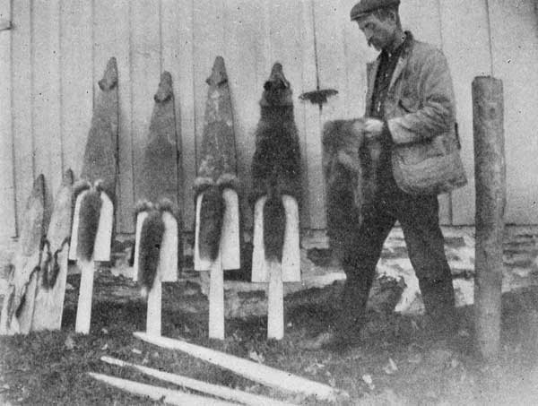 ALMOST DRY ENOUGH TO TURN.