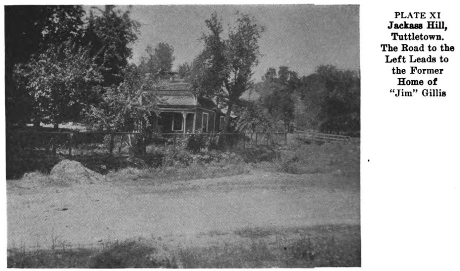 Jackass Hill. Plate11