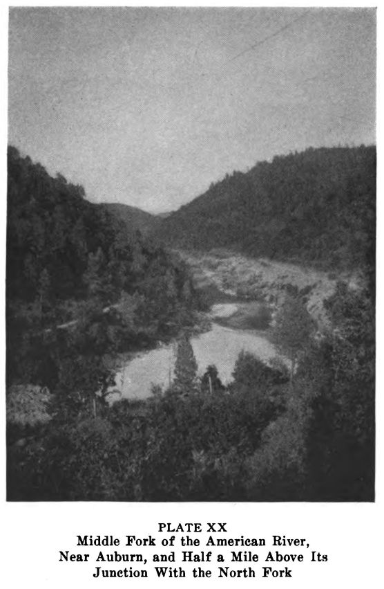 American River. Plate20