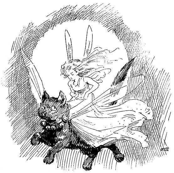 Fairy riding black cat