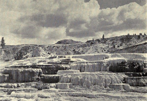 Minerva
Terrace, Mammoth Hot Springs, Yellowstone Park