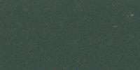 XLVII_29′′′′_m_Dull_Greenish_Black_(1)