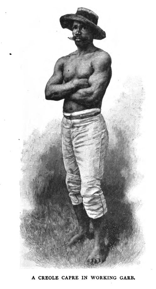 A Creole Capre in Working Garb.